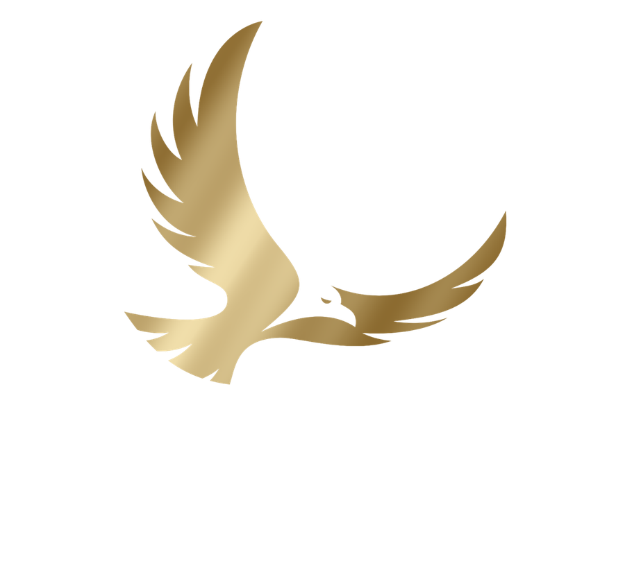 Talon Studios