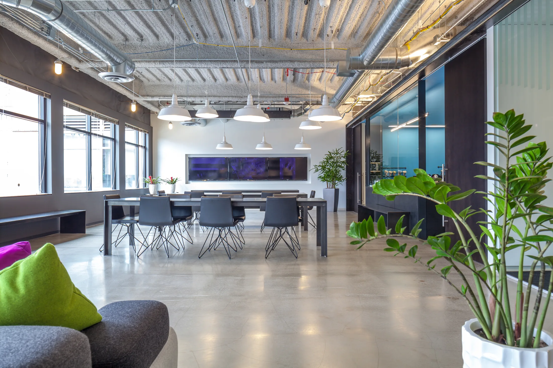 Commercial interior prepared for spatial capture